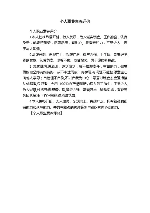 个人职业素养评价