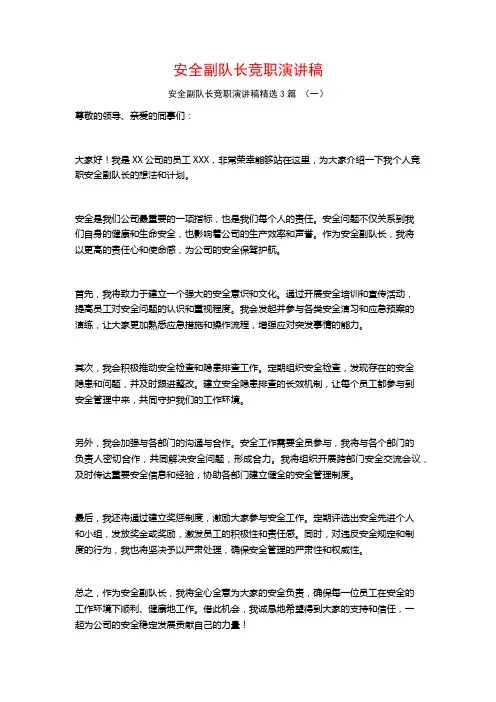 安全副队长竞职演讲稿3篇