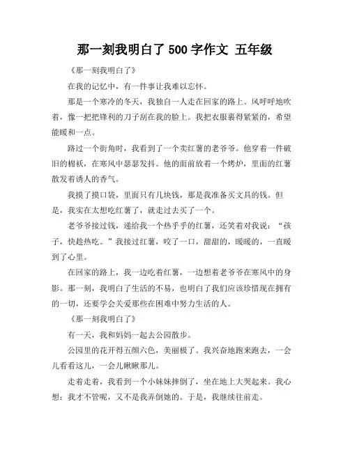 那一刻我明白了500字作文 五年级