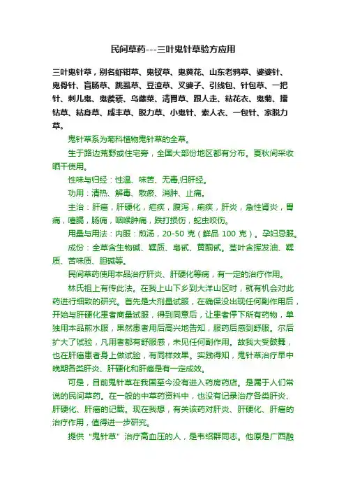 民间草药---三叶鬼针草验方应用