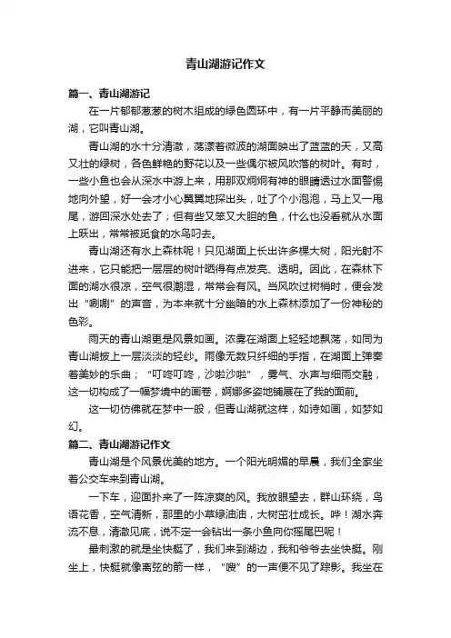 青山湖游记作文