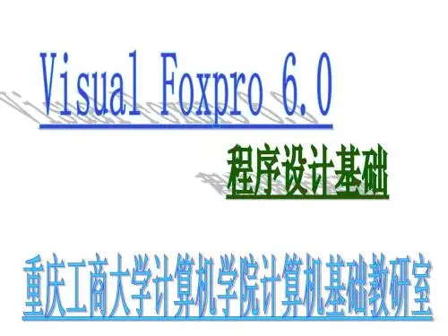 VFP第1部分(程序初步常量变量)
