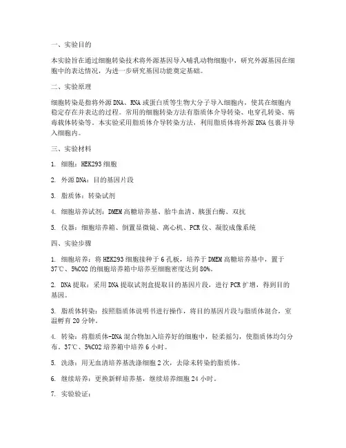 细胞转染实验报告