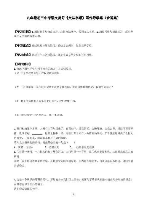 九年级初三中考语文复习《文从字顺》写作导学案(含答案)
