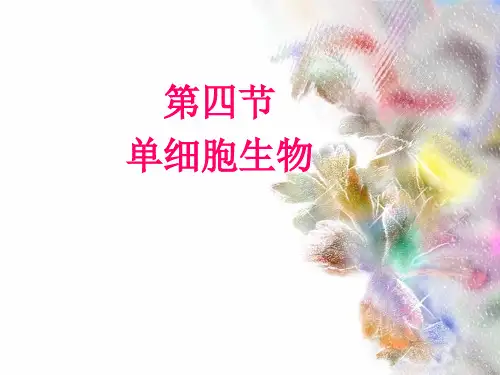 人教版七年级上册生物 .4 单细胞生物课件