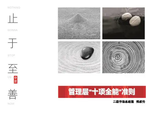 管理层“十项全能”准则(ALAN)