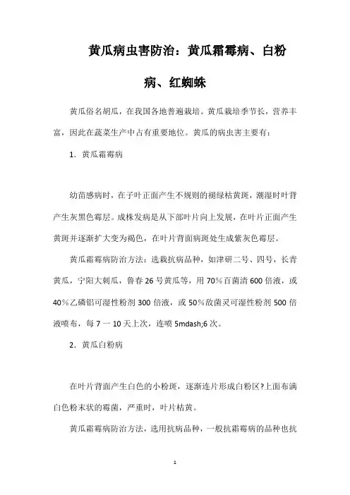 黄瓜病虫害防治：黄瓜霜霉病、白粉病、红蜘蛛
