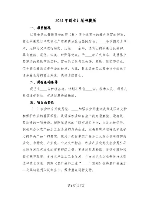 2024年创业计划书模版（二篇）