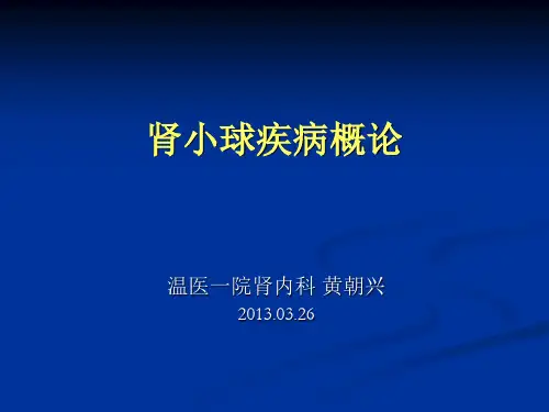 内科学教学课件：肾小球疾病概论