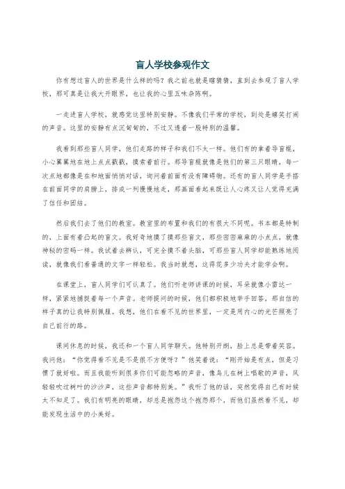 盲人学校参观作文