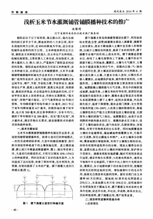 浅析玉米节水灌溉铺管铺膜播种技术的推广