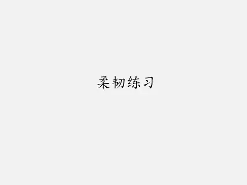 教科版九年级(初三)体育与健康柔韧练习_课件1