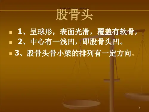 股骨头缺血坏死影像诊断课件