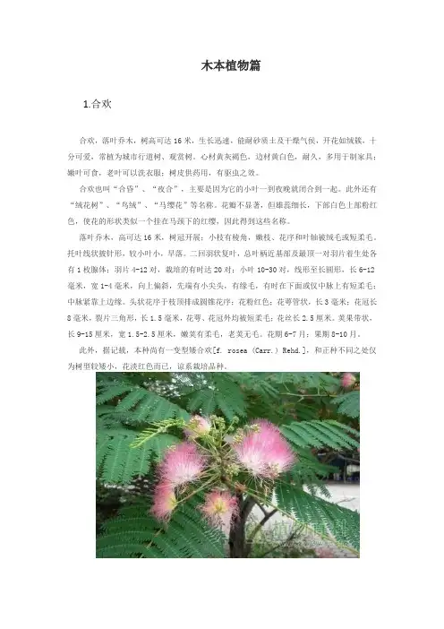 常见林木植物介绍(图文)