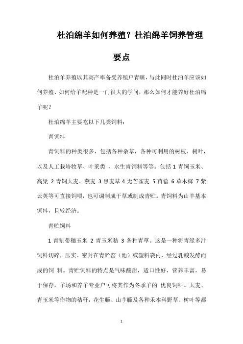 杜泊绵羊如何养殖？杜泊绵羊饲养管理要点