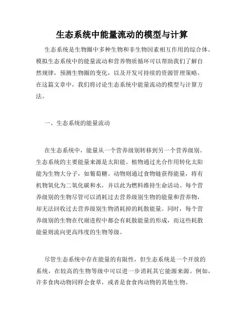 生态系统中能量流动的模型与计算