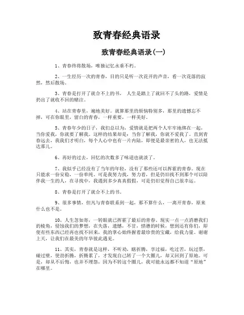 致青春经典语录-1