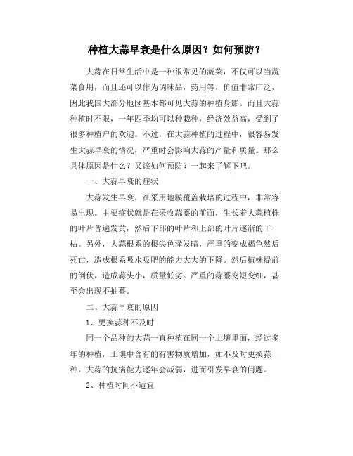 种植大蒜早衰是什么原因？如何预防？