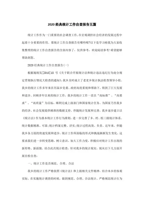 2020经典统计工作自查报告五篇