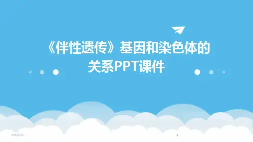 2024版年度《伴性遗传》基因和染色体的关系PPT课件