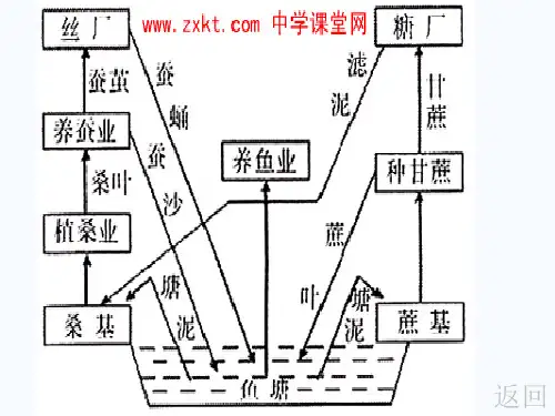 我国三种立体农业模式
