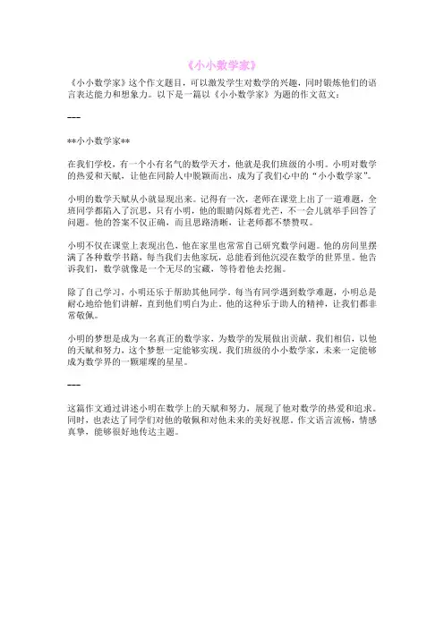 《小小数学家》