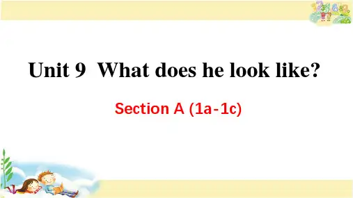 人教版PEP英语七年级下册 Unit 9  What does he look like