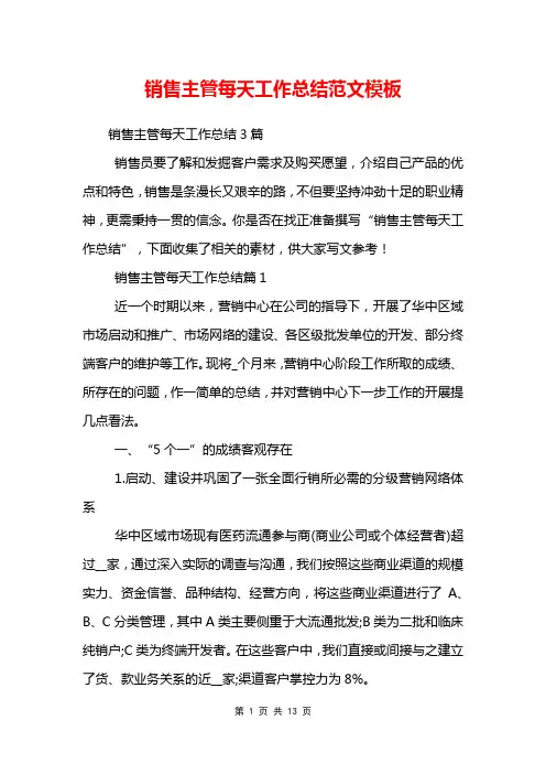 销售主管每天工作总结范文模板
