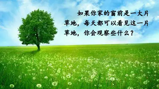 《金色的草地》ppt课件