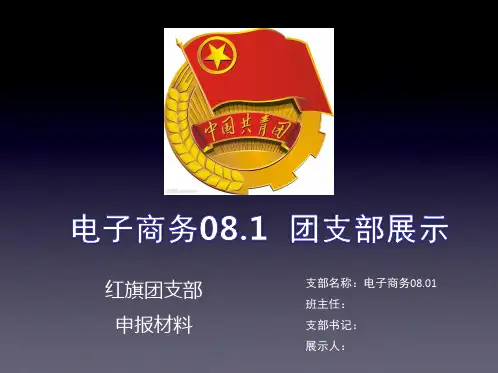 红旗团支部申报模板展示