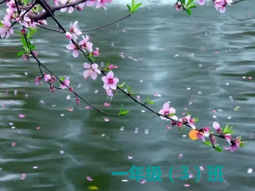 一年级下学期期末复习家长会PPT课件