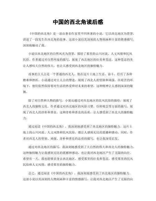 中国的西北角读后感