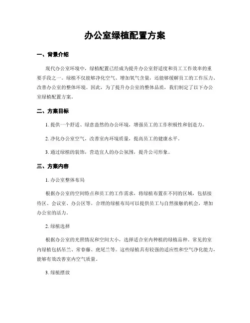 办公室绿植配置方案