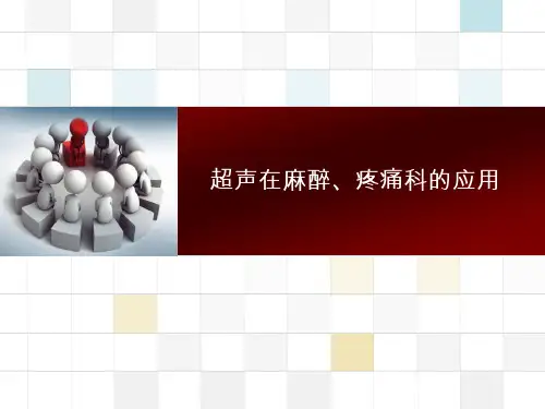 超声引导在麻醉、疼痛科的应用