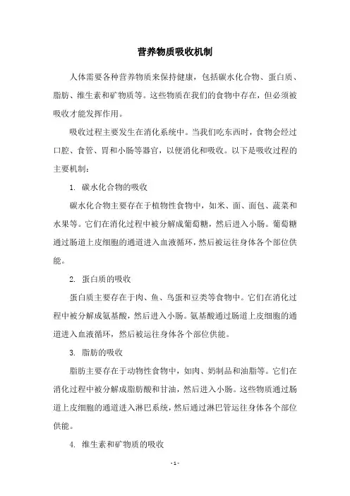 营养物质吸收机制