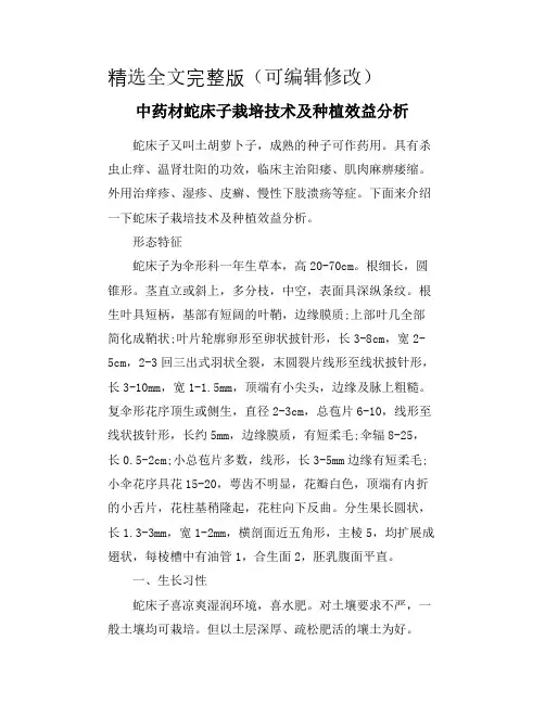 中药材蛇床子栽培技术及种植效益分析精选全文