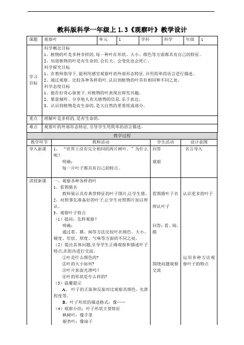 教科版 一年级科学上册 《观察叶》教案