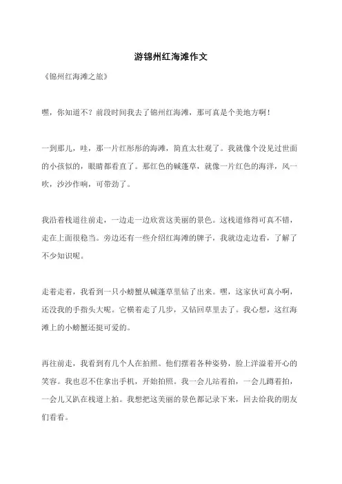 游锦州红海滩作文