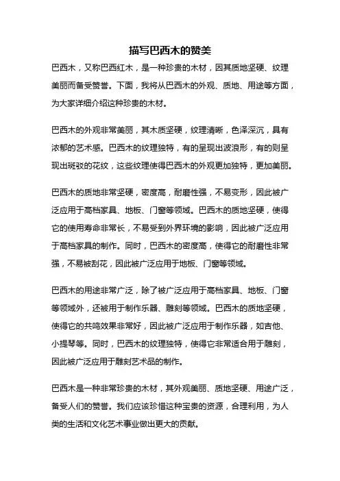 描写巴西木的赞美