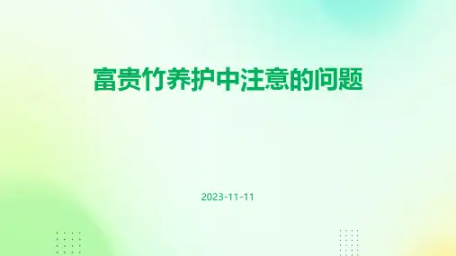 富贵竹养护中注意的问题