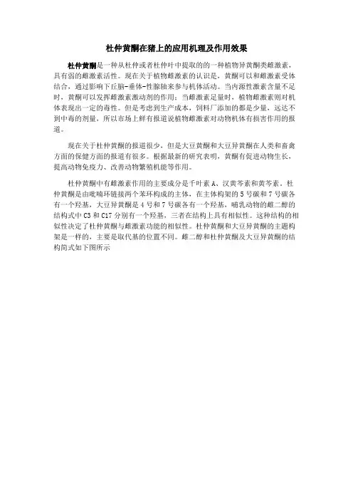 1杜仲黄酮在猪上的应用机理及作用效果