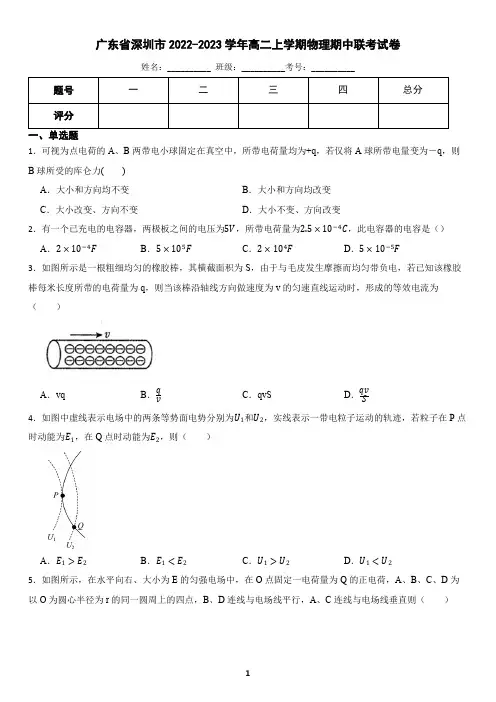 广东省深圳市2022-2023学年高二上学期物理期中联考试卷(含答案)