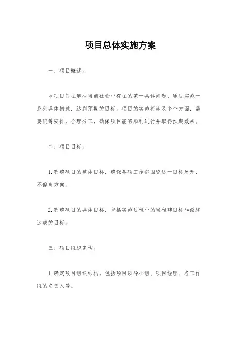 项目总体实施方案