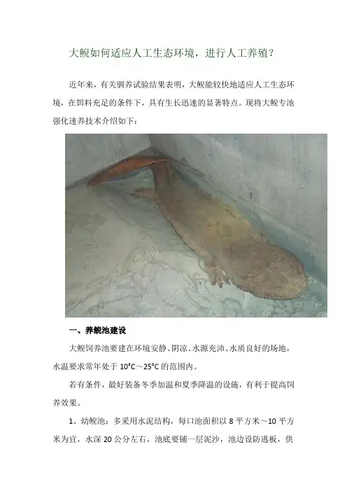 大鲵如何适应人工生态环境,进行人工养殖？