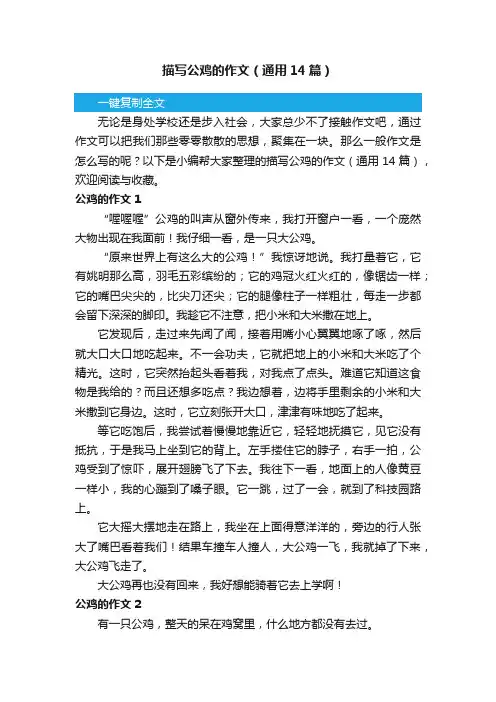 描写公鸡的作文（通用14篇）
