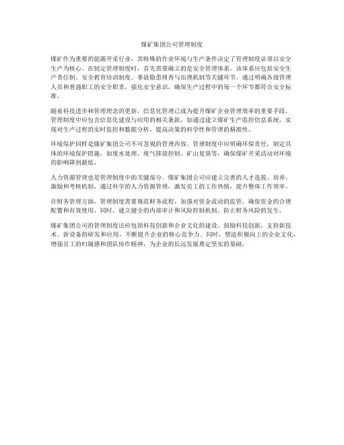 煤矿集团公司管理制度