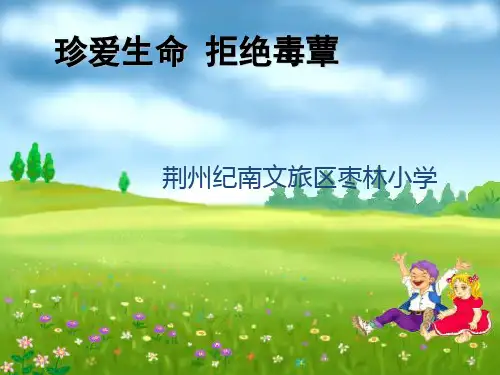 珍爱生命拒绝毒蕈主题班会