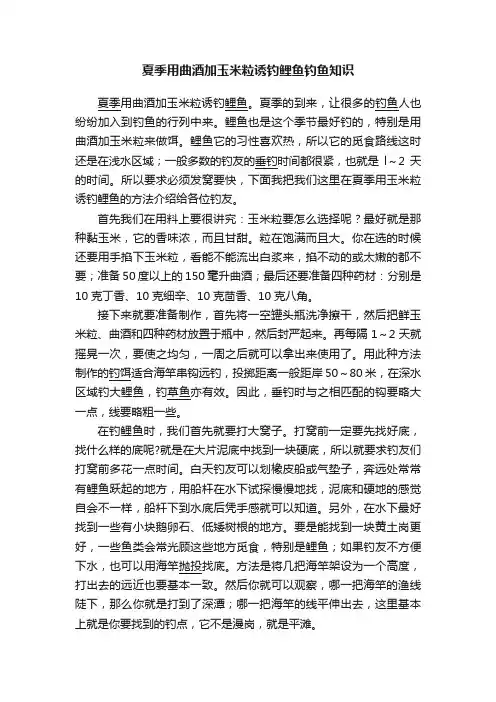 夏季用曲酒加玉米粒诱钓鲤鱼钓鱼知识