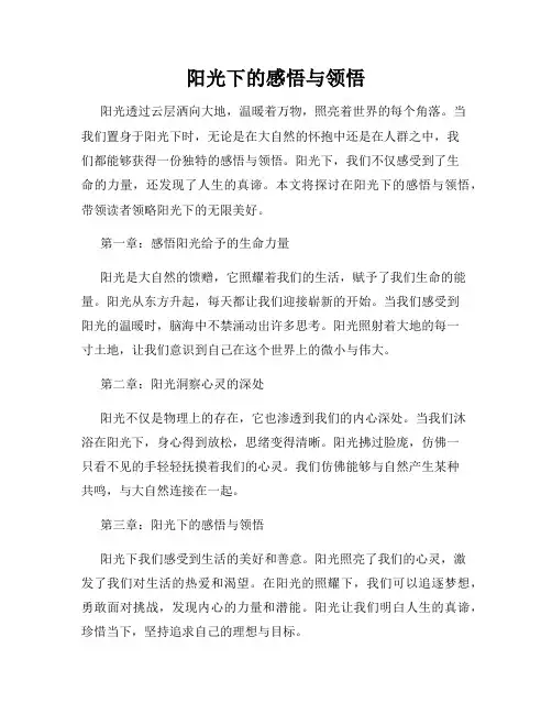 阳光下的感悟与领悟