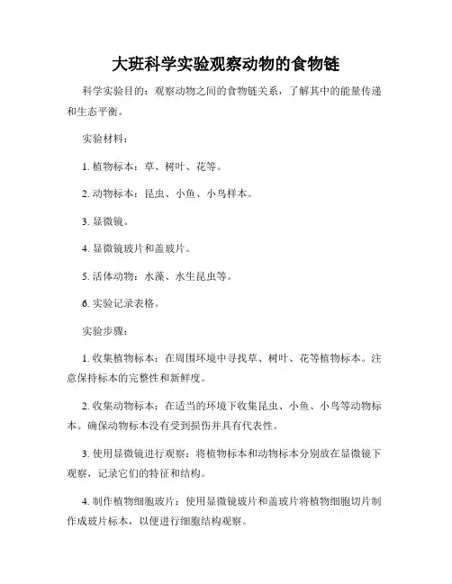 大班科学实验观察动物的食物链